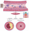 CENTRAL ILLUSTRATION