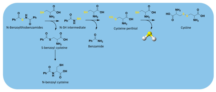 Figure 9