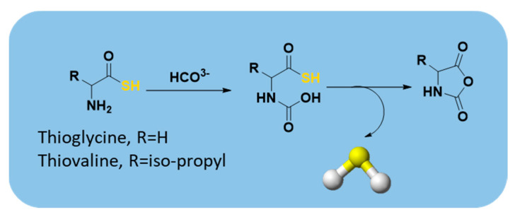 Figure 16