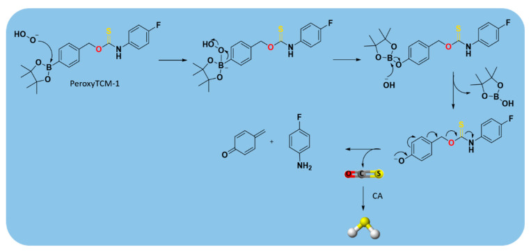 Figure 15