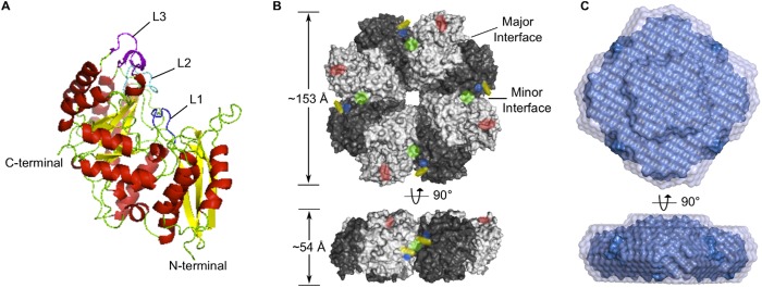 Fig 1