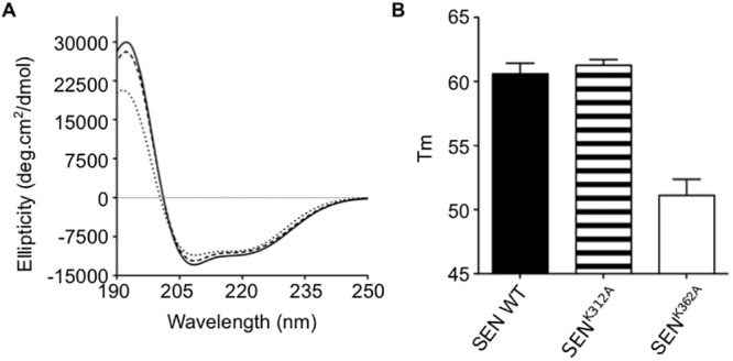 Fig 5