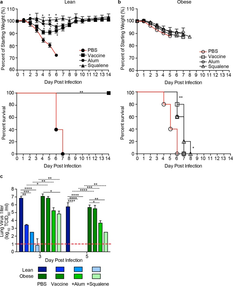 FIG 6 