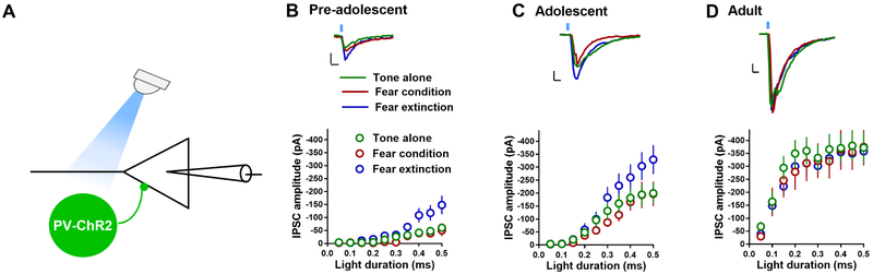 Figure 7.