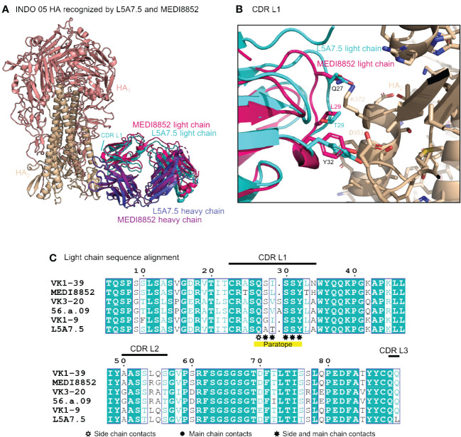 Figure 6