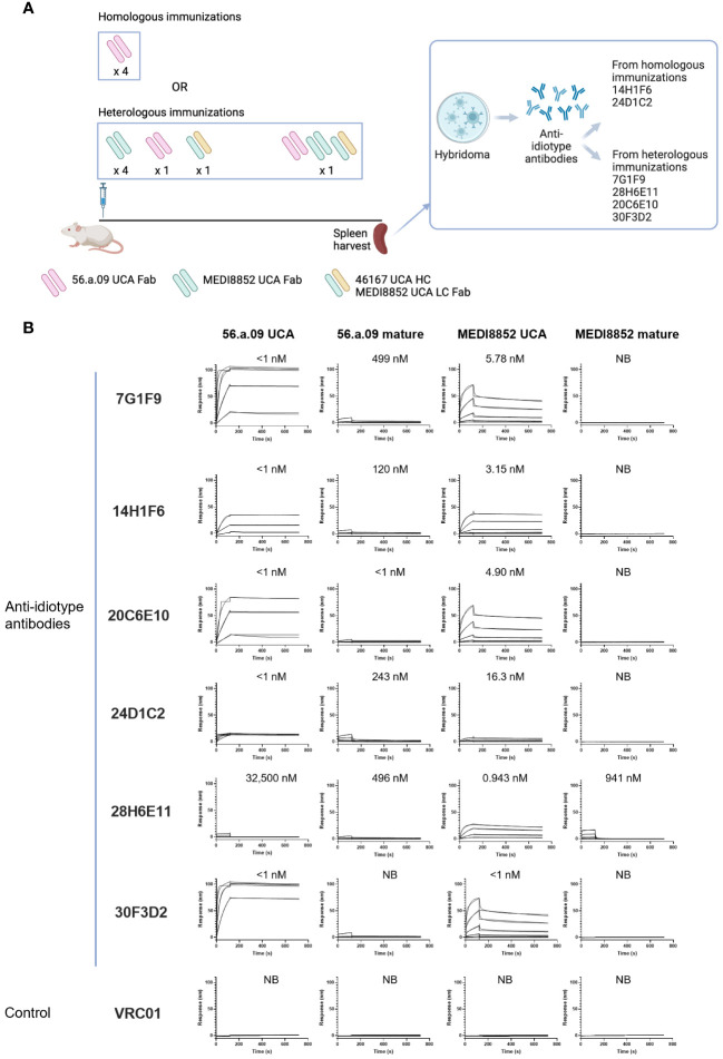 Figure 1