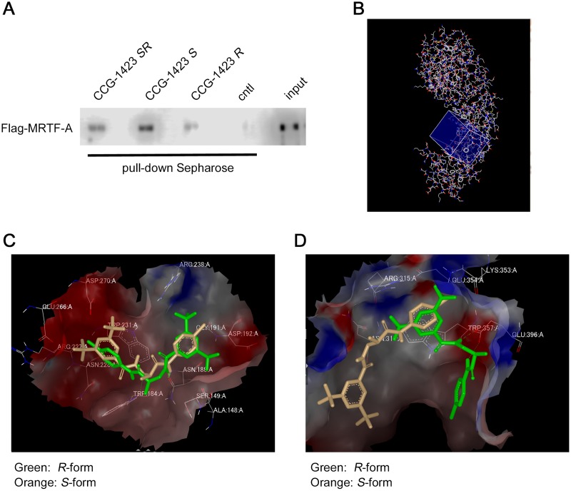 Fig 6