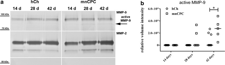 Fig. 9