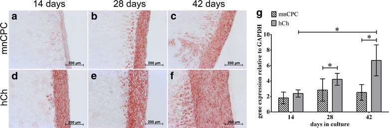 Fig. 6