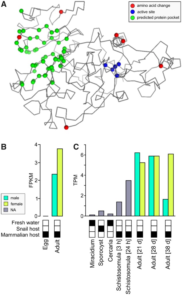 Fig. 7.