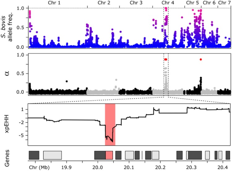 Fig. 4.