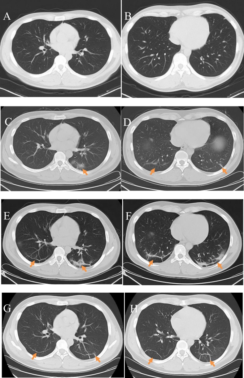 Fig. 6