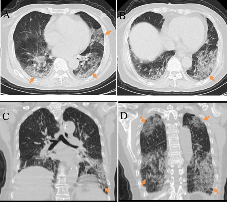 Fig. 7