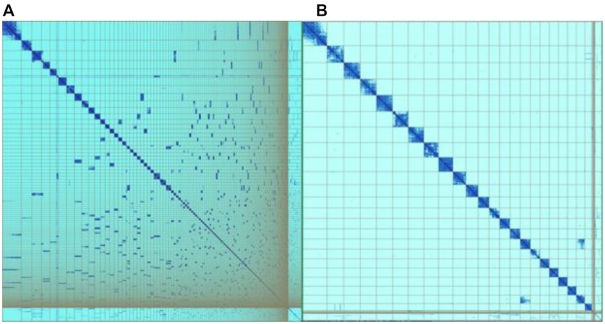 Figure 5: