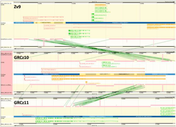 Figure 3: