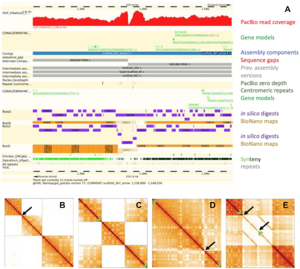 Figure 2: