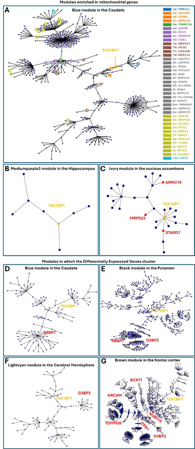 Figure 7: