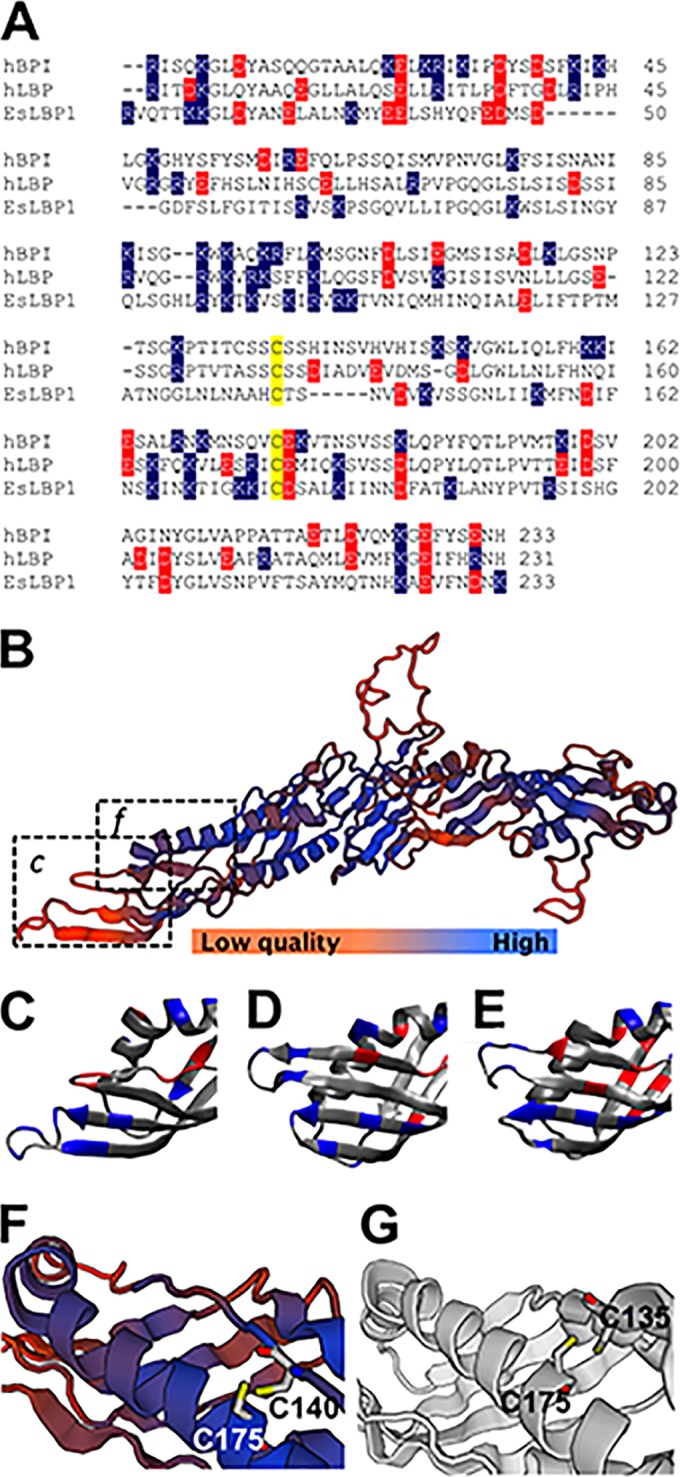 FIG 1 