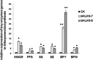 Fig. 10