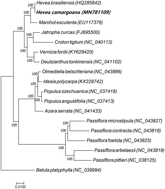 Figure 1.