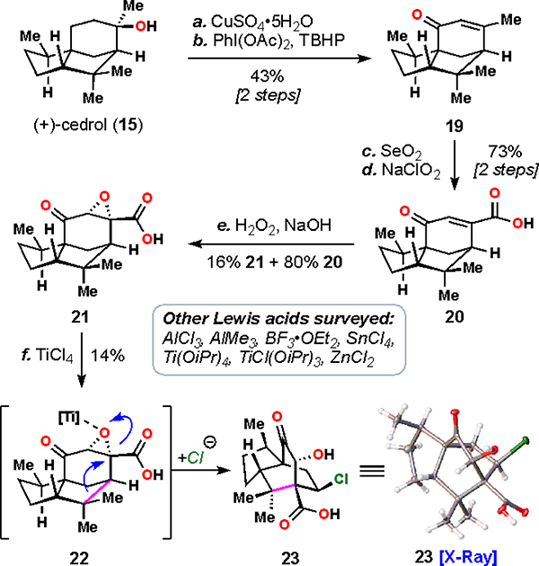 Scheme 1.