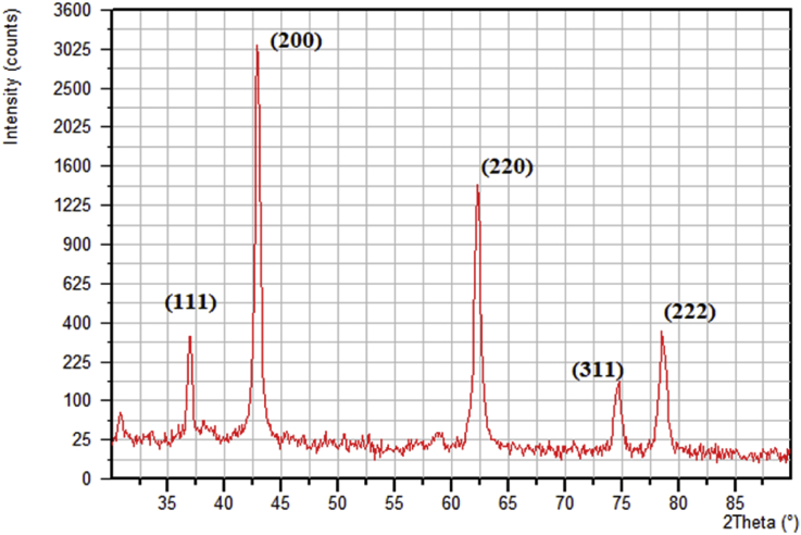 Fig. 1