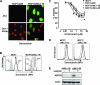 FIG. 8.