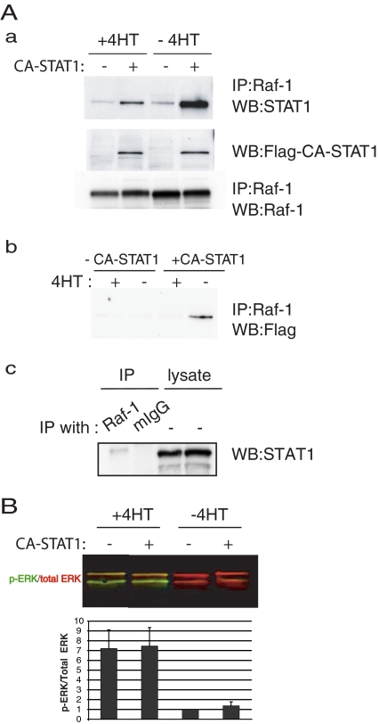 Figure 7.