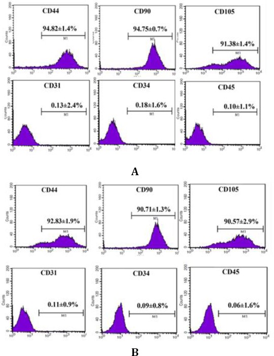 Figure 21