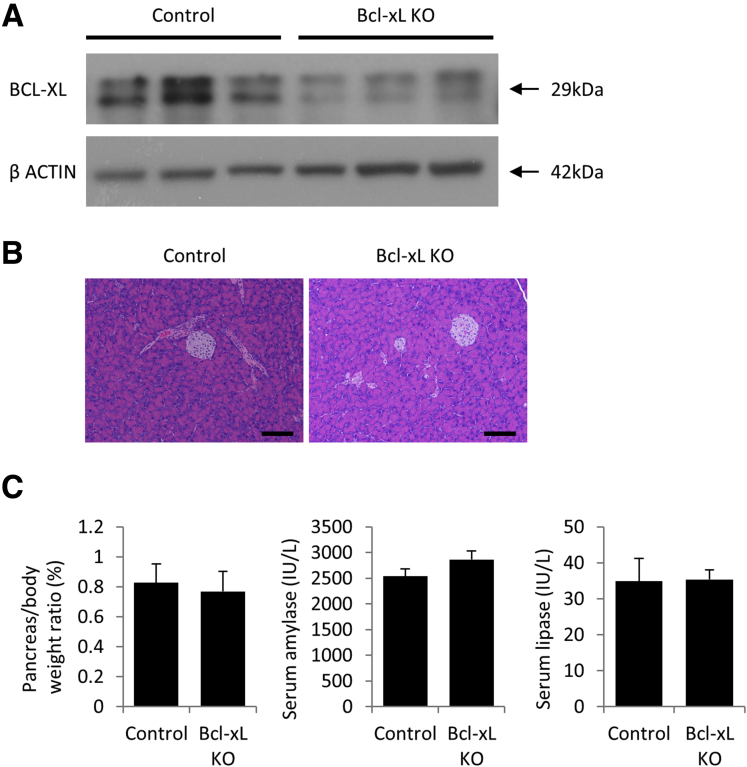 Figure 6