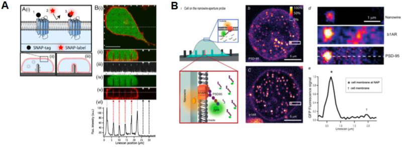 Figure 6: