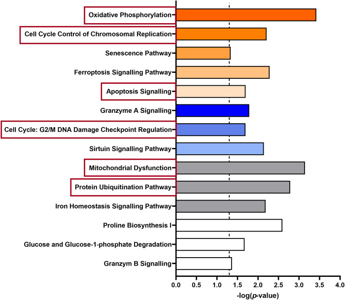 FIGURE 3