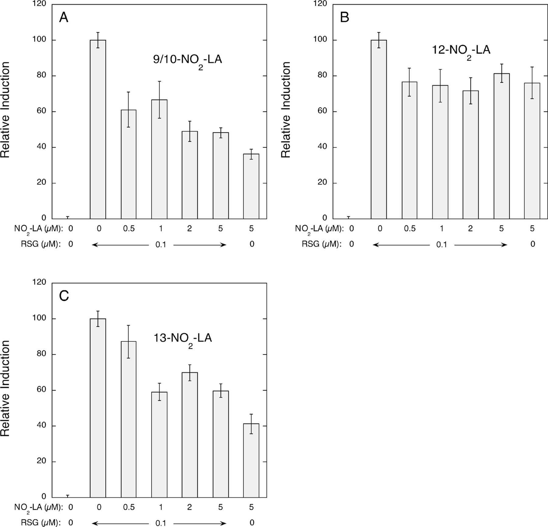 FIGURE 5: