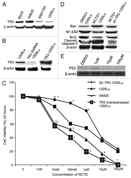 Figure 4.