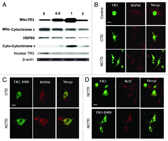 Figure 3.