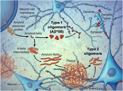 FIGURE 3