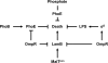FIG. 9.