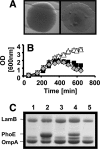 FIG. 7.