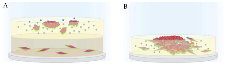 Figure 10.3