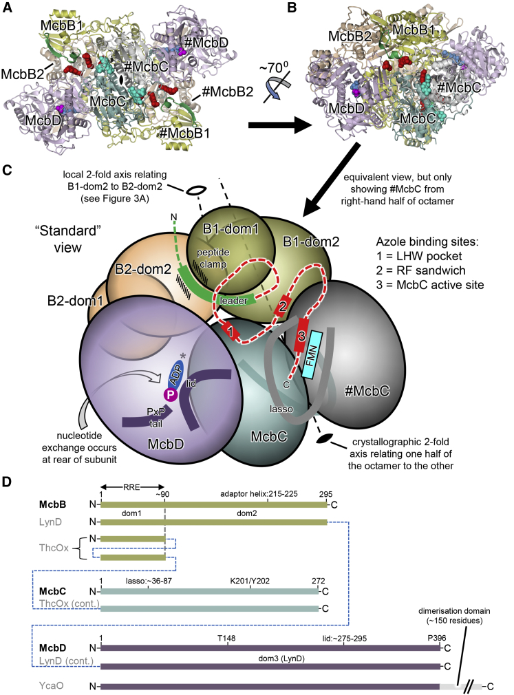 Figure 2