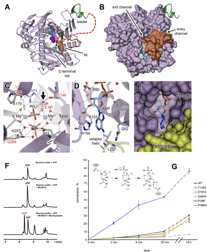 Figure 5