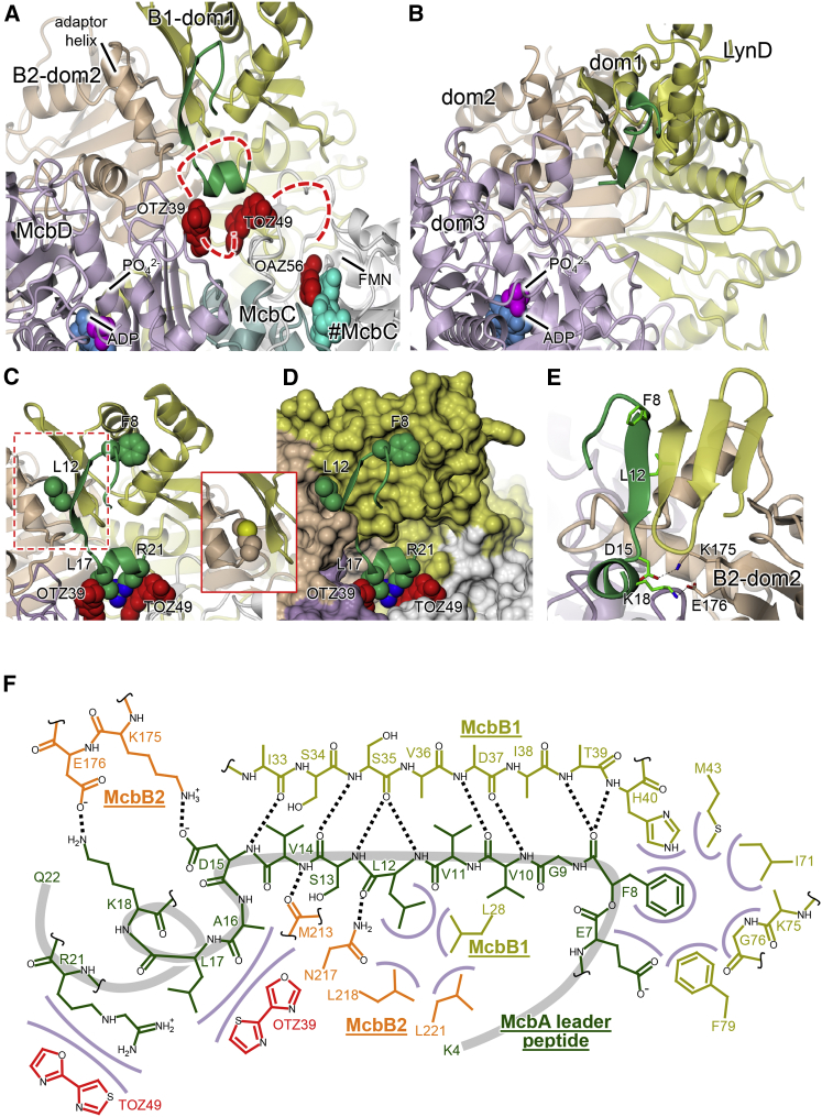 Figure 4