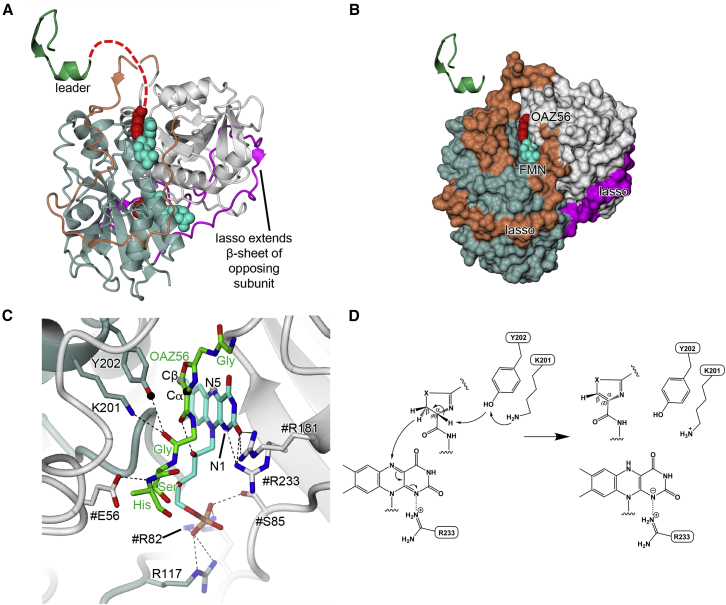 Figure 6