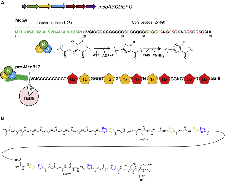 Figure 1