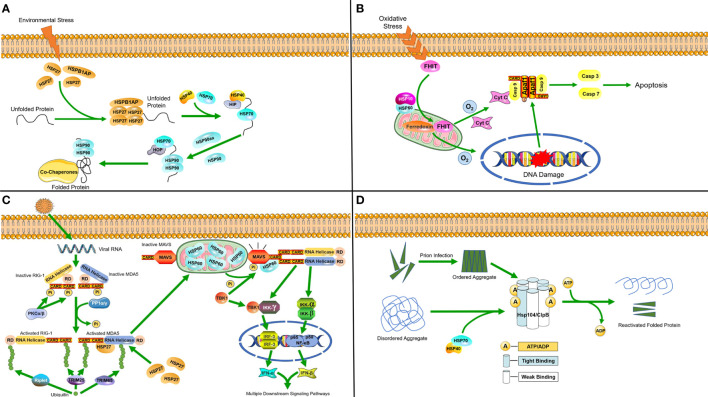 Figure 1