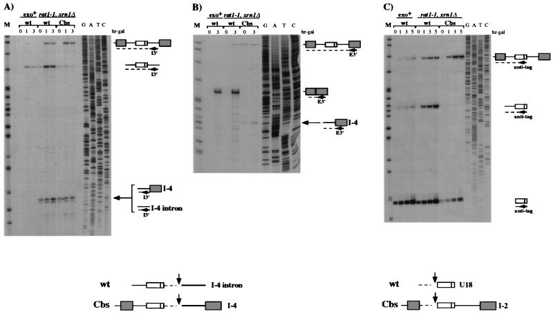 FIG. 6