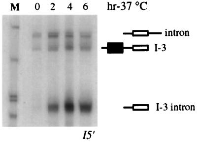 FIG. 7