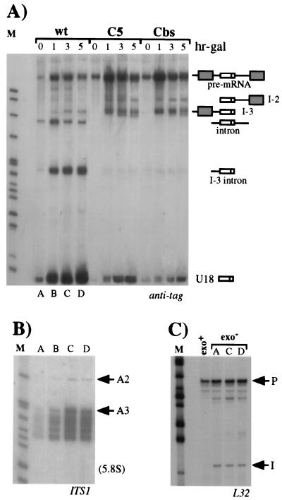 FIG. 5