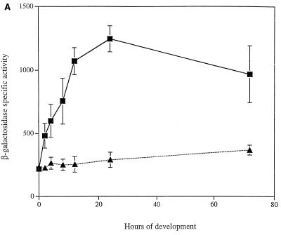 FIG. 5