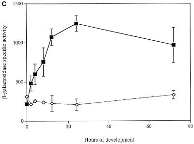 FIG. 5